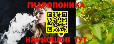 гашик Обь