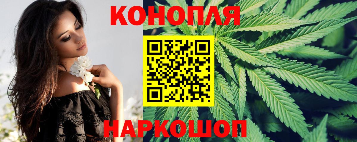 Бошки марихуана SATIVA & INDICA  Канабис Bruce Banner  Вход с VPN  Канабис White Widow  Пушкино 